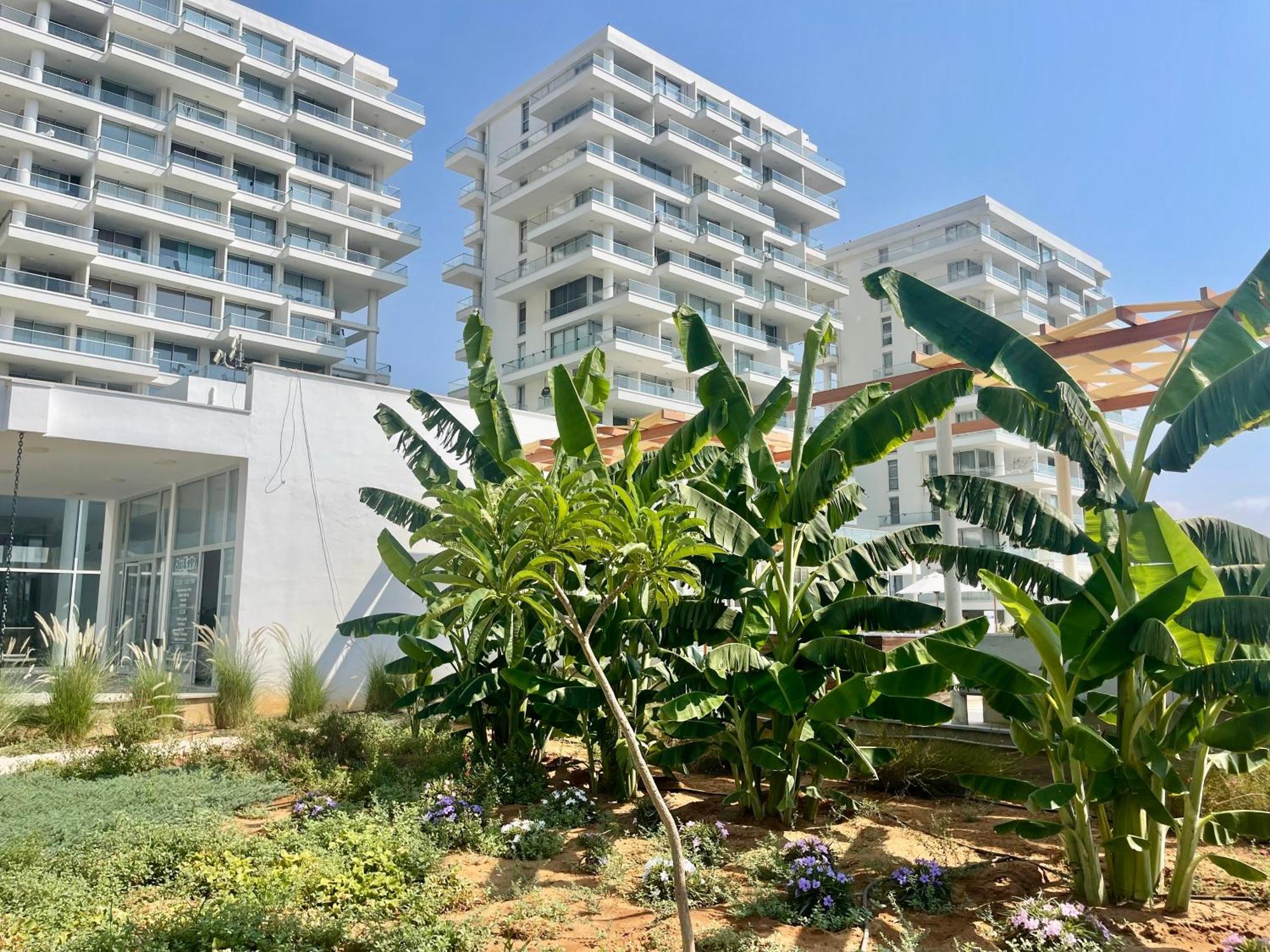 Sea View Suites By The Coast Famagusta  Buitenkant foto