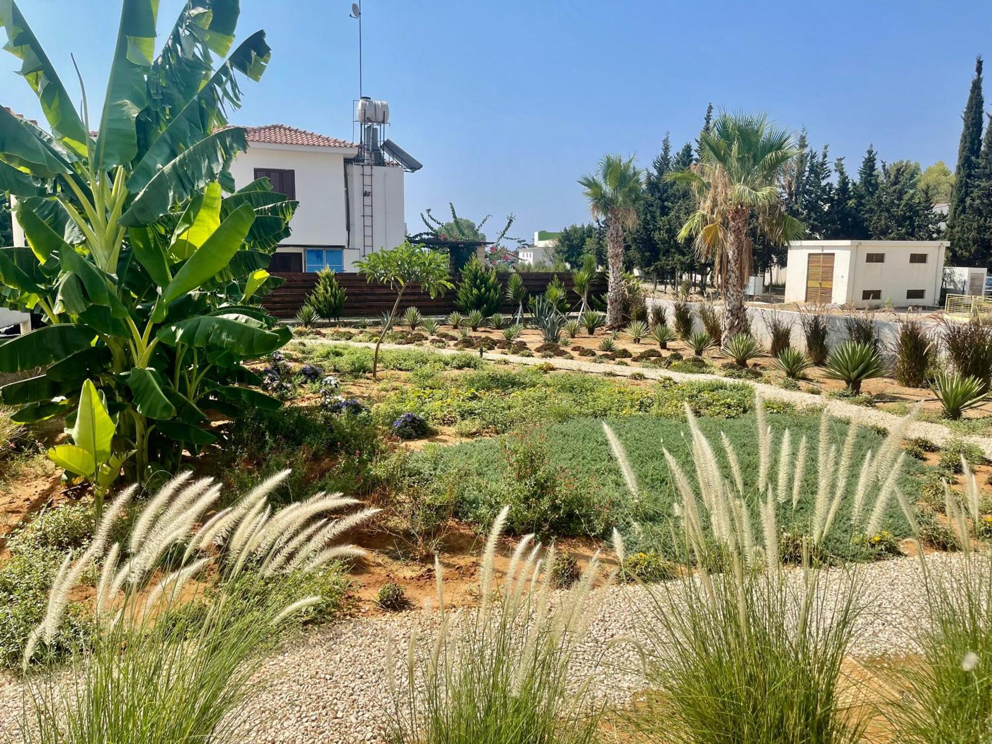 Sea View Suites By The Coast Famagusta  Buitenkant foto